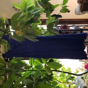 Spencer Tank Top A Line Dress Blue Large